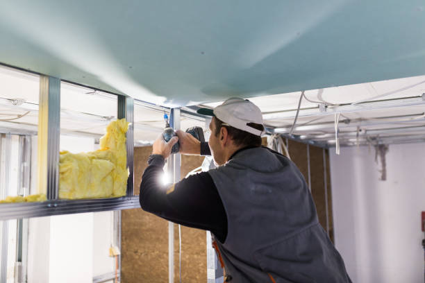 Best Spray Foam Insulation  in Kraemer, LA