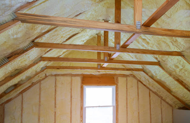 Best Insulation Removal  in Kraemer, LA