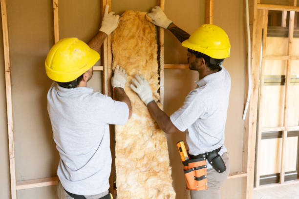 Garage Insulation Installation in Kraemer, LA