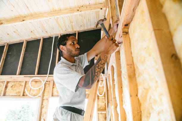 Insulation Repair Services in Kraemer, LA