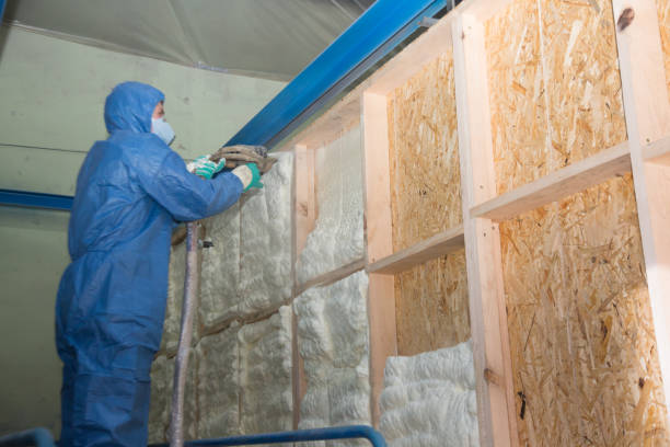 Best Cellulose Insulation  in Kraemer, LA