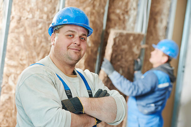 Best Best Insulation Companies  in Kraemer, LA